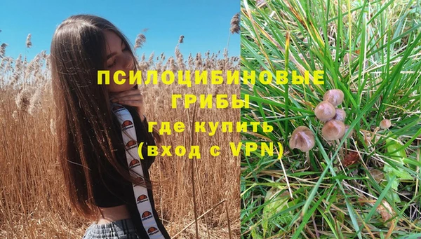 ешки Саяногорск