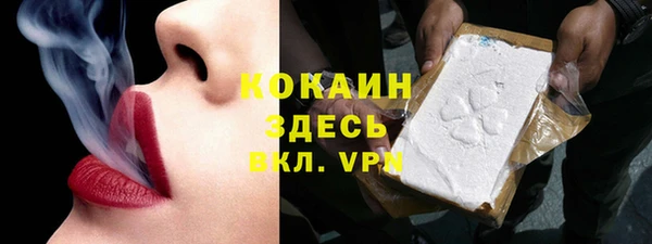 мяу мяу мука Рославль