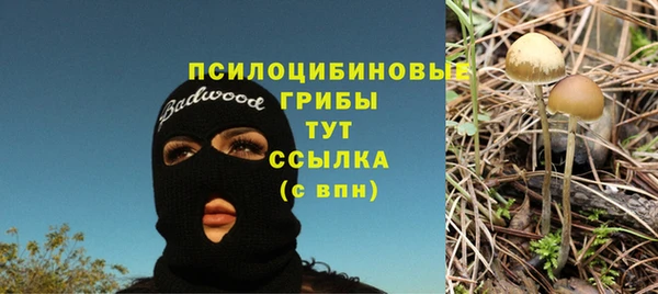 мяу мяу мука Сафоново