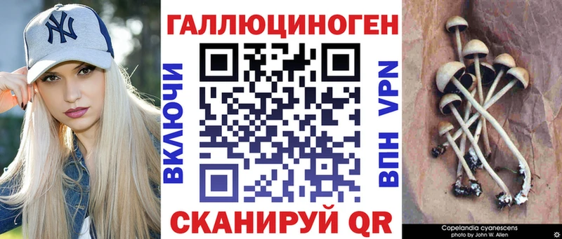 Псилоцибиновые грибы прущие грибы  Купить где  Кольчугино 